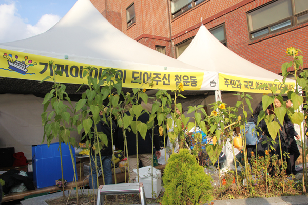 20141105-002.jpg