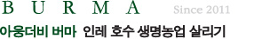 bm.jpg