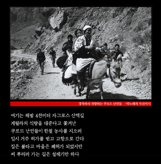 경작하러 귀향하는 쿠르드 난민들