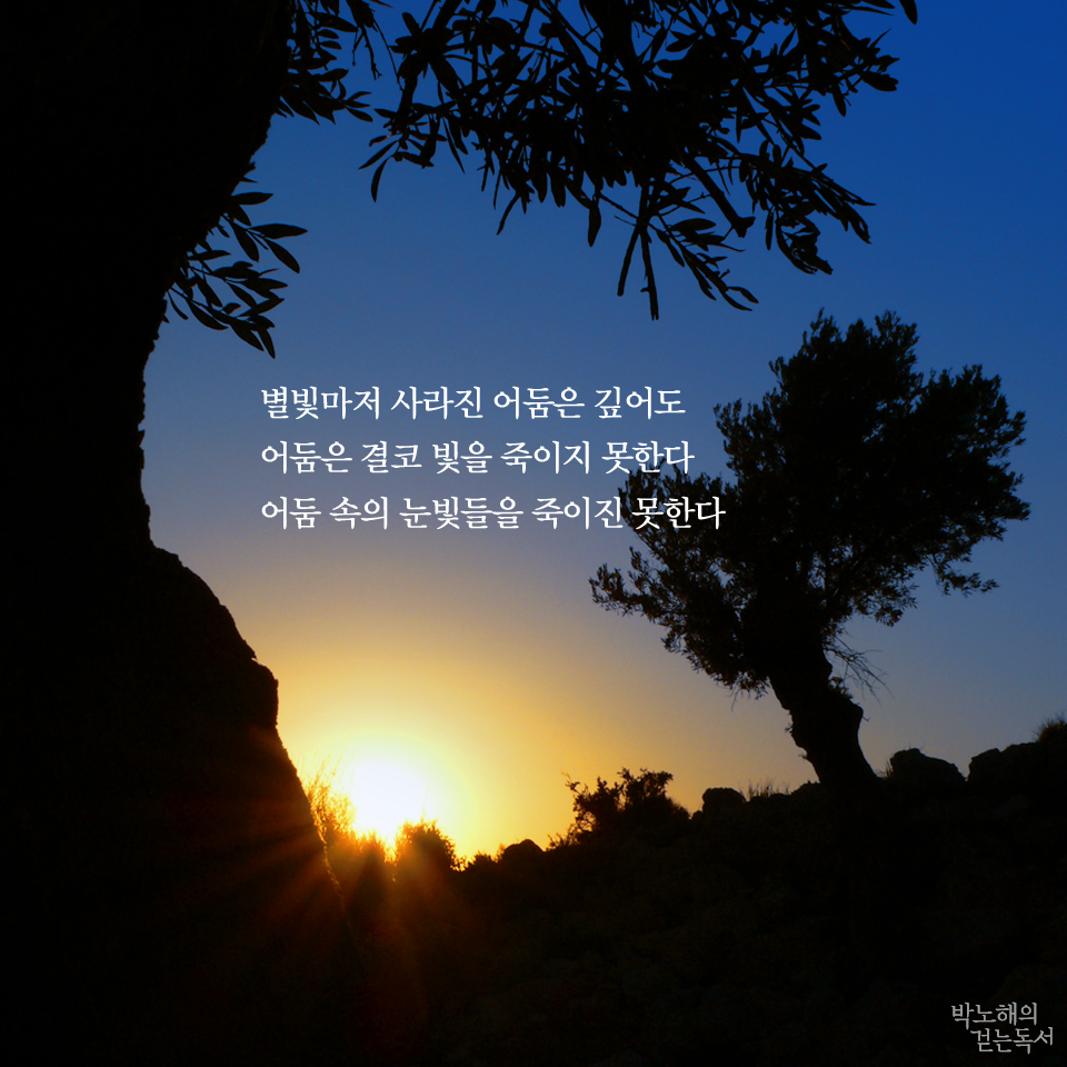어둠속의 별 빛에 대한 이미지 검색결과