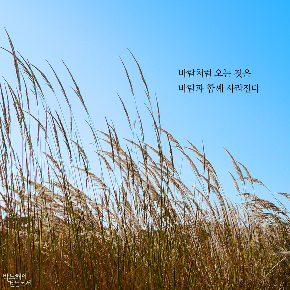 My Image 75