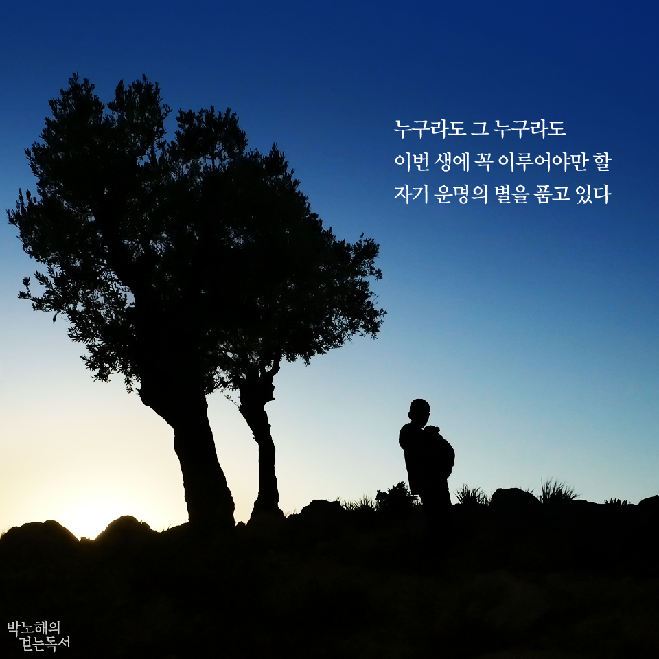 박노해의 걷는 독서 누구라도 | 시 누구라도 그 누구라도이번 생에 꼭 이루어야만 할자기 운명의 별을 품고 있다- 박노해 '누구라도 그 누구라도'Jordan, 2008. 사진 박노해누구라도 그 누구라도이 지구별에 목숨 받고 태어나던 날자기 운명의 별 하나 품고 나왔으니이번 생에 꼭 해야만 할 일이 있어그 몫을 다 하지 못하고 휩쓸릴 때너의 행복은 어디에도 없으리니누구라도 그 누구라도자기만의 길을 찾아 울며 나아가지 않는다면네 영혼은 울부짖으며 유성처럼 사라지리니그러나 슬퍼하지 마라우리 모두는 저마다 자신의 길을 찾아피투성이 맨발로 쓰러지고 다시 일어서며고통스런 인생길을 함께 걷고 있으니 -박노해 시인의 숨고르기 '누구라도 그 누구라도'http://www.nanum.com/site/19647* 매일 아침 박노해 시인의 사진과 경구를 만날 수 있는 <박노해의 걷는 독서>와 하루의 시작을 함께 하세요 페이스북 바로가기 이 게시물을