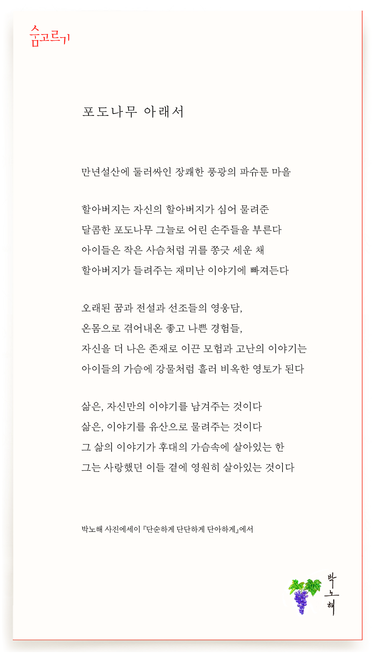 포도나무아래 이미지