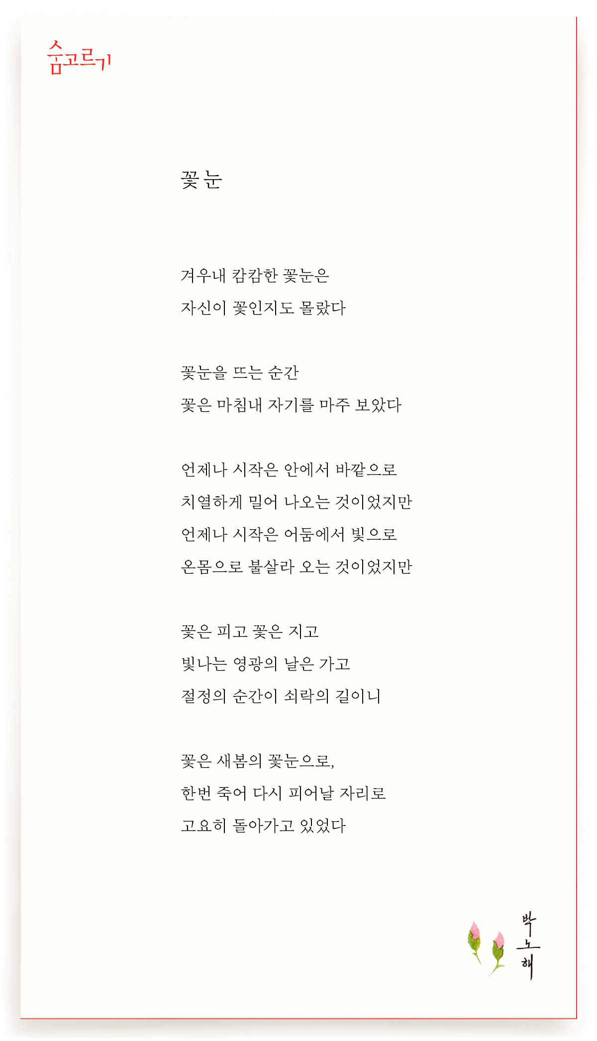 박노해의 숨고르기 꽃눈