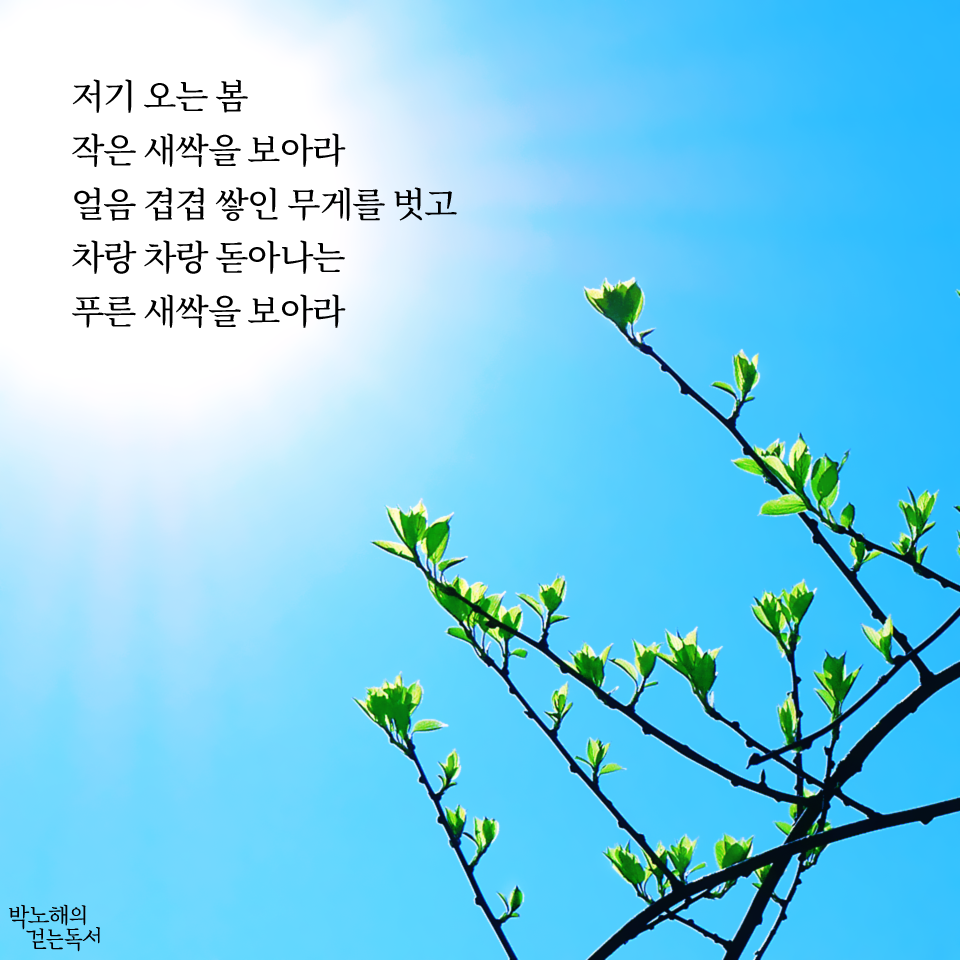 박노해의 걷는 독서 - 저기 오는 봄