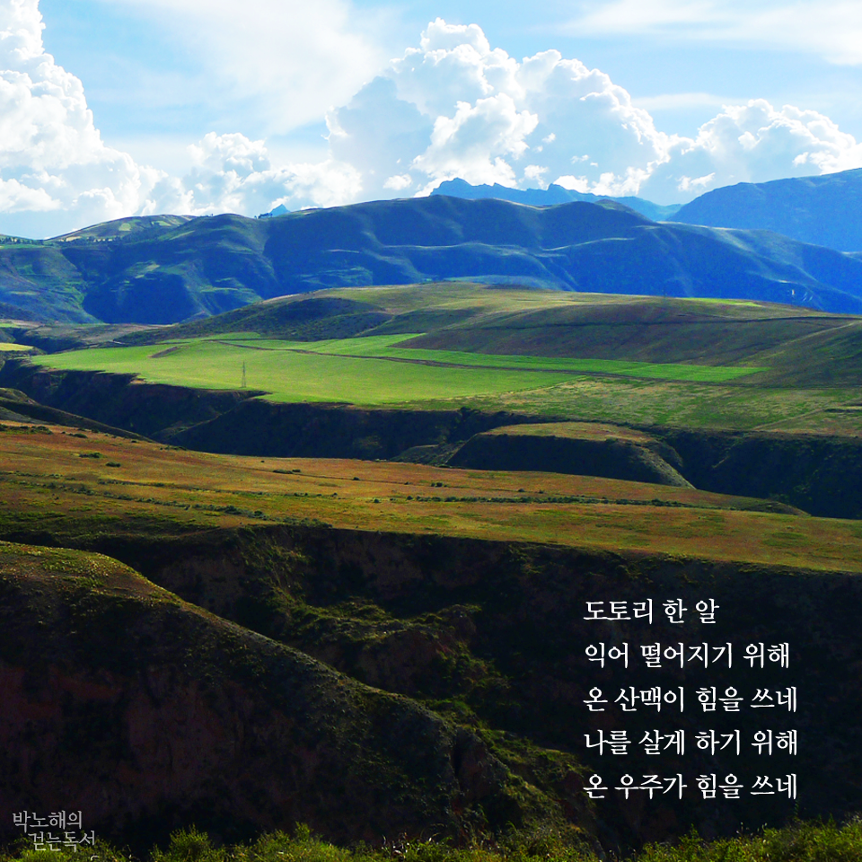 박노해 시인의 걷는 독서 - 도토리 한 알